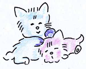猫の手.jpg