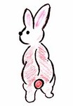 うさぎ.jpg